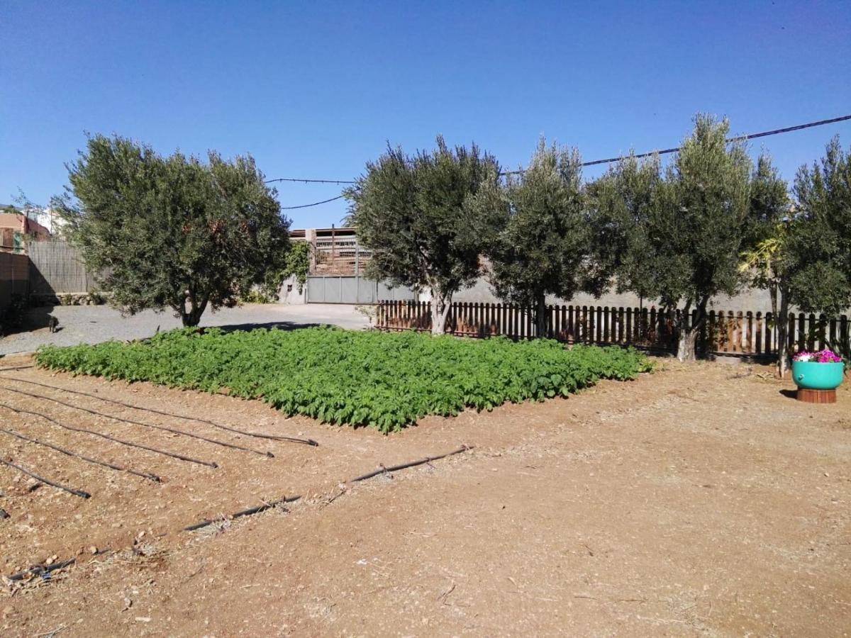 La Casita Del Naranjo Villa Agüimes Dış mekan fotoğraf