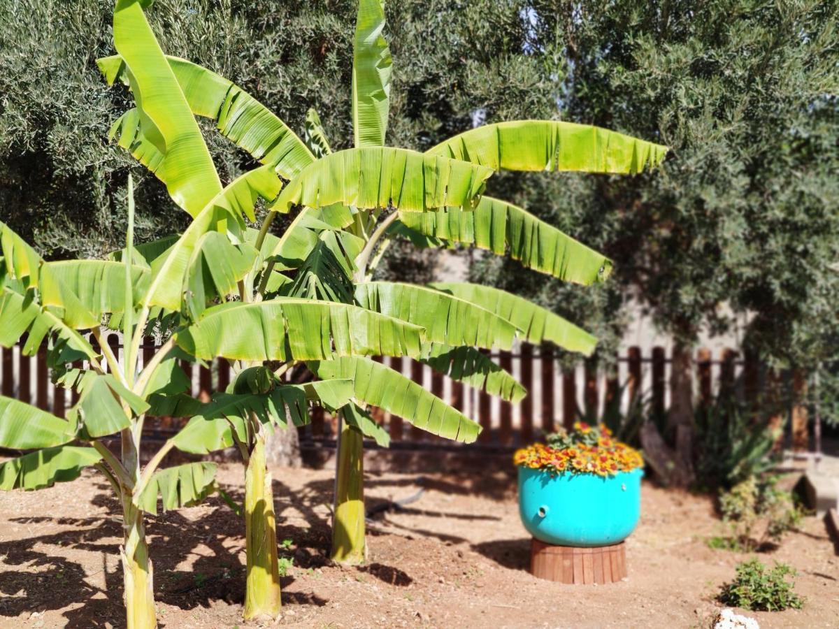 La Casita Del Naranjo Villa Agüimes Dış mekan fotoğraf